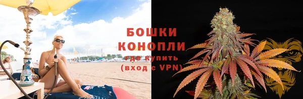 шишки Абинск