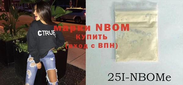 мдпв Абаза