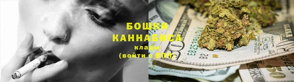 шишки Абинск