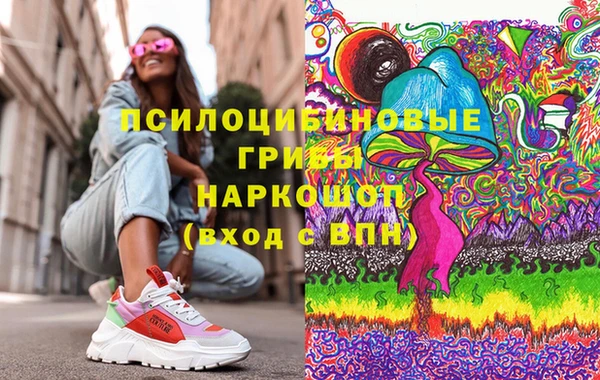 мдпв Абаза